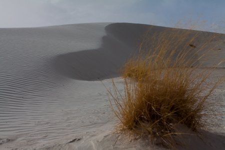 Mooie witte zandduinen in White Sands
